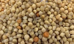 瑶柱是什么东西,海洋珍馐，滋补佳品之概述