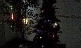 流星视频,捕捉光影瞬间，记录生活精彩